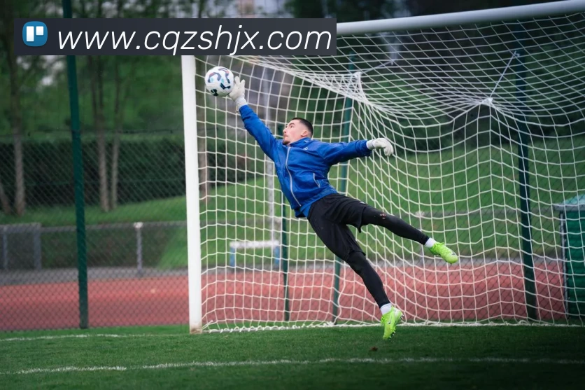 九游体育平台生态图